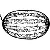 FRUIT001