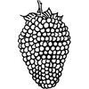 FRUIT003