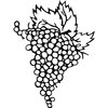 FRUIT004