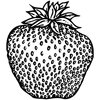 FRUIT008