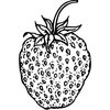 FRUIT009