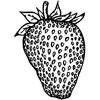 FRUIT010