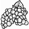 FRUIT016
