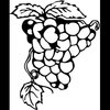 FRUIT017