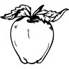 FRUIT021