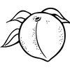 FRUIT023