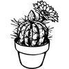 CACTUS01