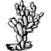 CACTUS09