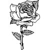 FLOWER04