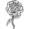 FLOWER05
