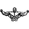 BODYBLD1